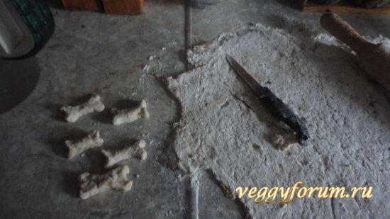 Печеньковый городок. Студенчество.
