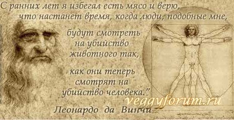 Мифы и иллюзии о вегетарианстве