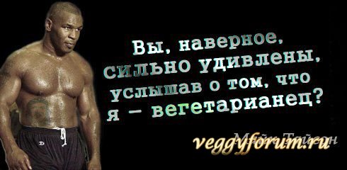 Мифы и иллюзии о вегетарианстве