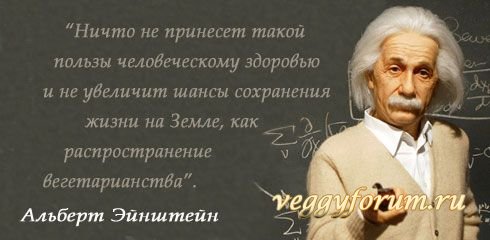 Мифы и иллюзии о вегетарианстве