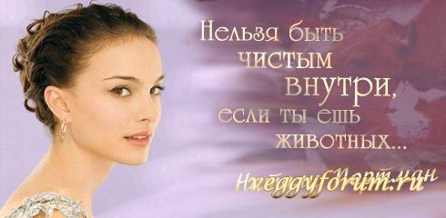Мифы и иллюзии о вегетарианстве