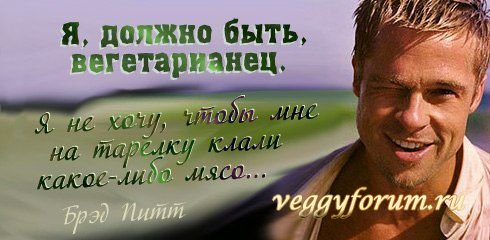Мифы и иллюзии о вегетарианстве