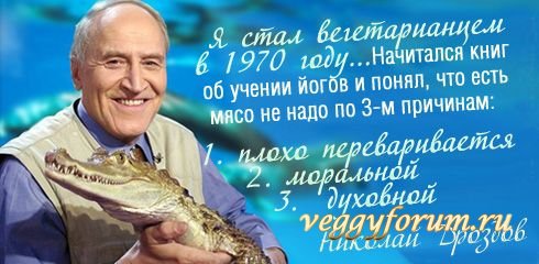 Мифы и иллюзии о вегетарианстве