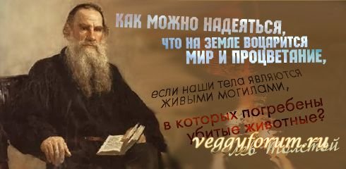 Мифы и иллюзии о вегетарианстве