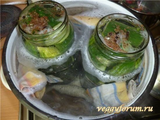 Маринованные огурчики по-немецки