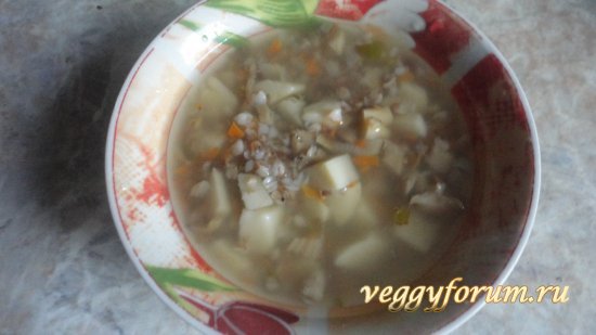 Супчик с вешенками и гречкой или макаронами