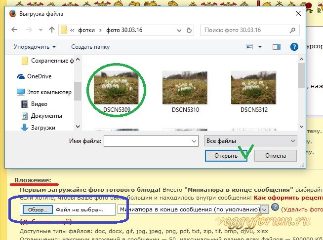 Советы новичкам: вставляем фотографии в сообщения