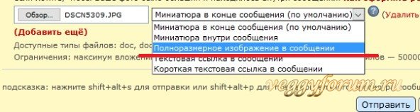 Советы новичкам: вставляем фотографии в сообщения