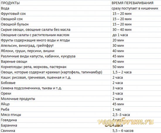 Сколько времени переваривается пища в желудке (с таблицей)