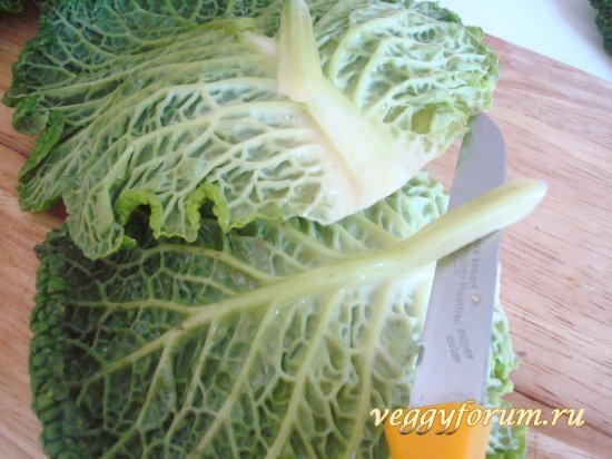 Рулетики из савойской капусты с сыром
