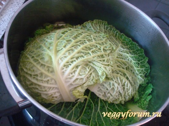 Рулетики из савойской капусты с сыром