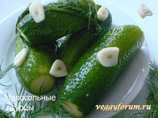 Малосольные огурцы на скорую руку