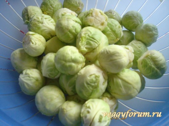 Брюссельская капуста маринованная.