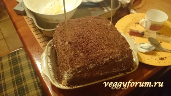Кофейно-шоколадный торт